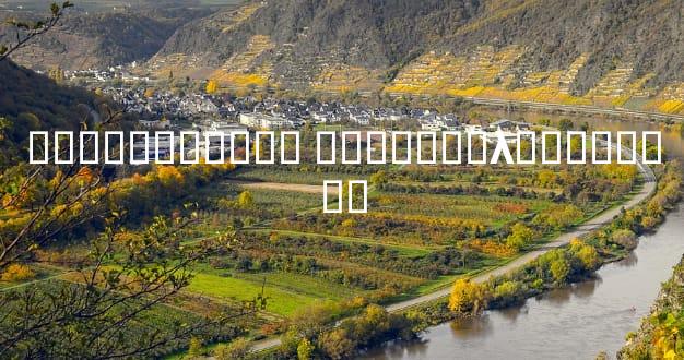 ��ͷ�������� ��ͷ����λ��������